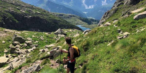 Progetto Orientiamoci alla Pari